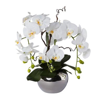 Orchidee weiß im Silbertopf