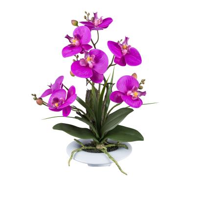 Orchidee lila in Keramikschale