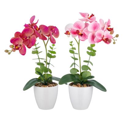 Orchidee Real Touch rosa/pink