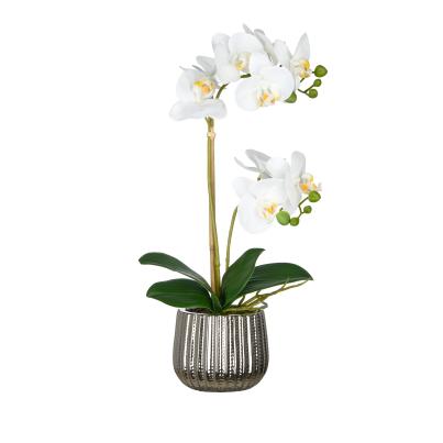Orchidee weiß in Silbertopf