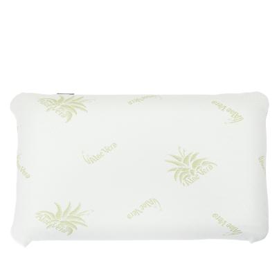 hERZtal Aloe Vera Kissen mit Tasche