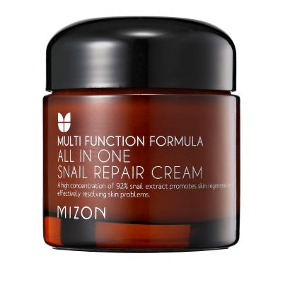 MIZON, ALL IN ONE SNAIL REPAIR CREAM 75 G
