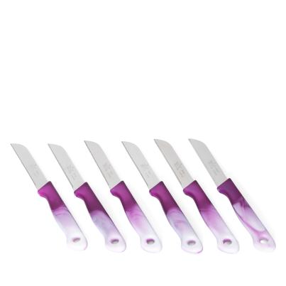 Schälmesser 6er Set Lila