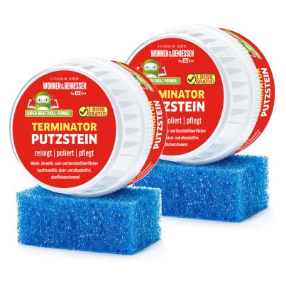 W&G Putzstein Titan Terminator 2x500g mit Schwamm