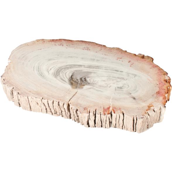Darimana Scheibe Fossiles Holz, ca. 2,3 kg - 103119700000 - 1 - 588px
