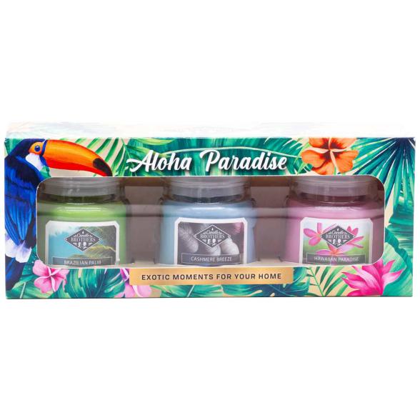 Candle Brothers Duftkerzen-Set 3er Aloha Paradise - 105741900000 - 1 - 588px