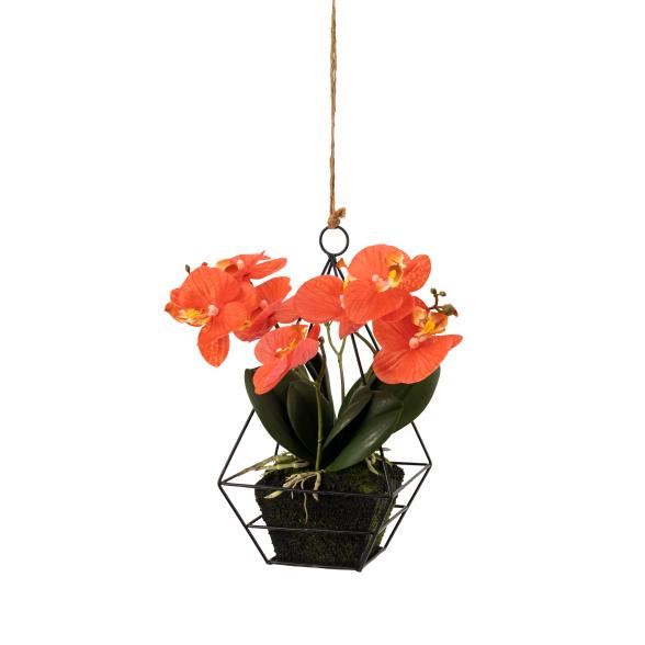 Orchidee rot 26cm im Eisenrahmen - 106787500000 - 1 - 588px
