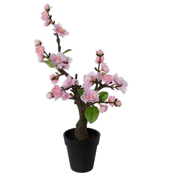 Kirschblüten Bonsai rosa - 106937200000 - 1 - 588px