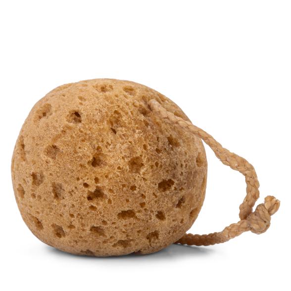 MBS DUSCHSCHWAMM OCEAN - 107533700000 - 1 - 588px