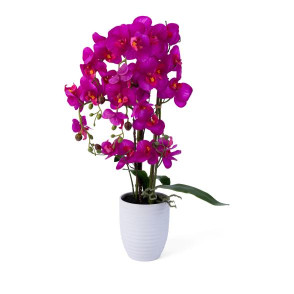 Orchidee 67cm lila - 109330900000 - 1 - 588px