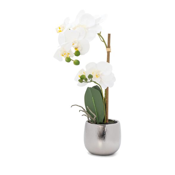 Orchidee im Keramiktopf 48 cm weiß - 109353500000 - 1 - 588px