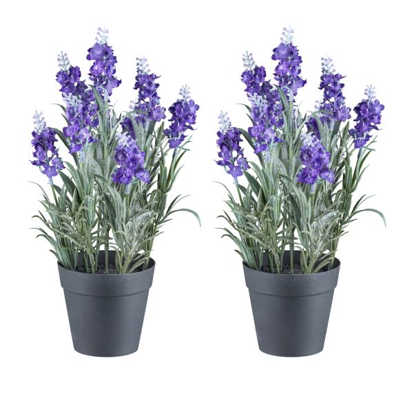 2er Set Lavendel lila - 111361300000 - 1 - 588px