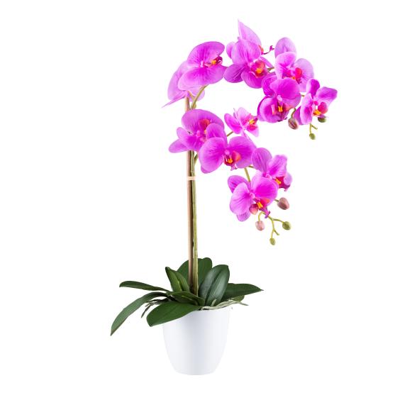Orchidee 56cm lila - 111362200000 - 1 - 588px