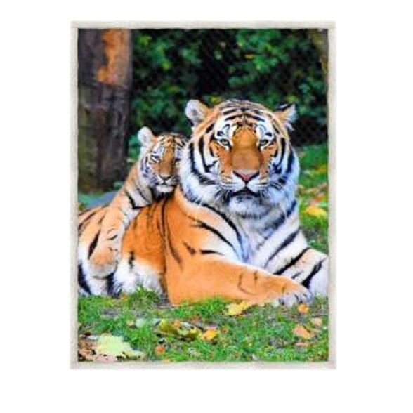 Sherpa-Decke Tiger 130x160cm - 111604700000 - 1 - 588px