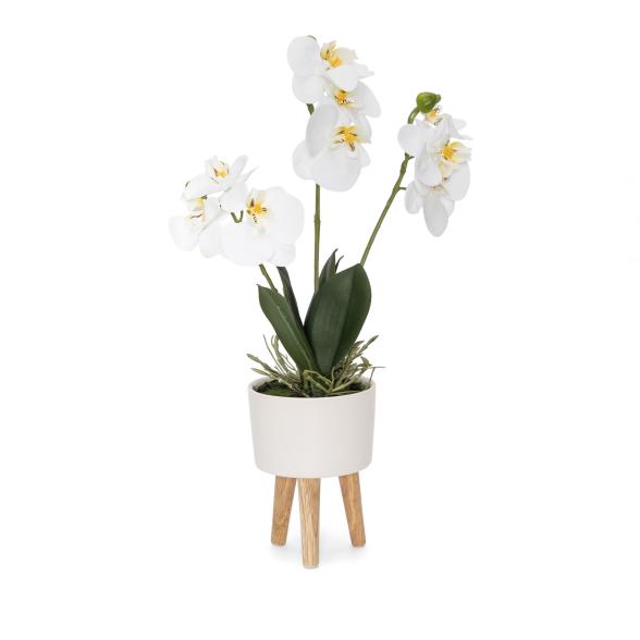 Orchidee 42cm weiß - 111918200000 - 1 - 588px