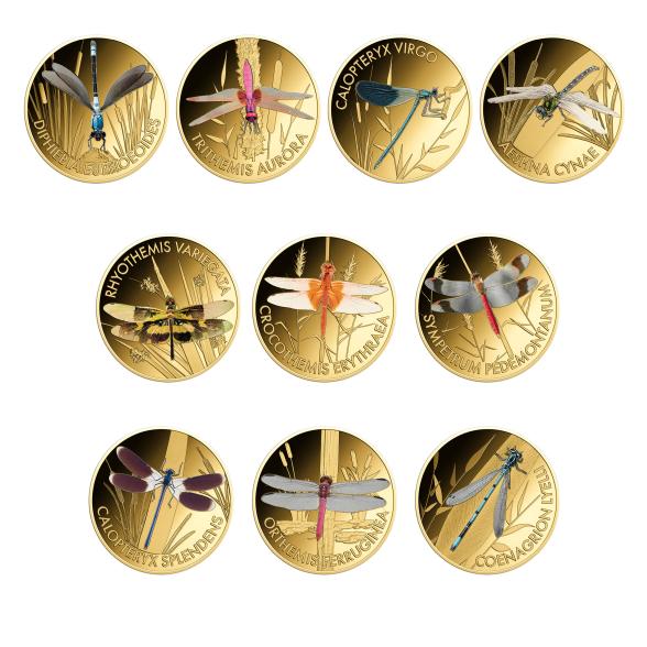 10er Set Wonder World of Dragonflies - 112385300000 - 1 - 588px