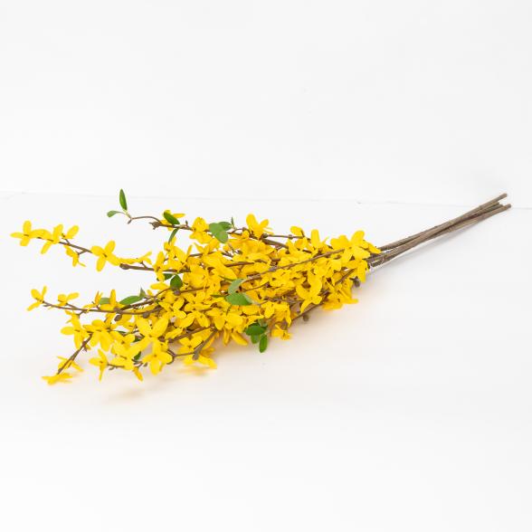 Forsythie 5tlg.  81cm gelb - 112508500000 - 1 - 588px