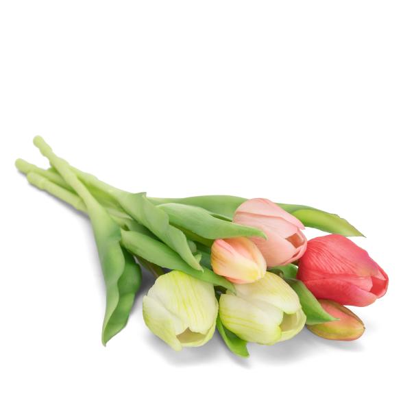 Tulpenbund 6tlg 32cm rosa - 112509100000 - 1 - 588px