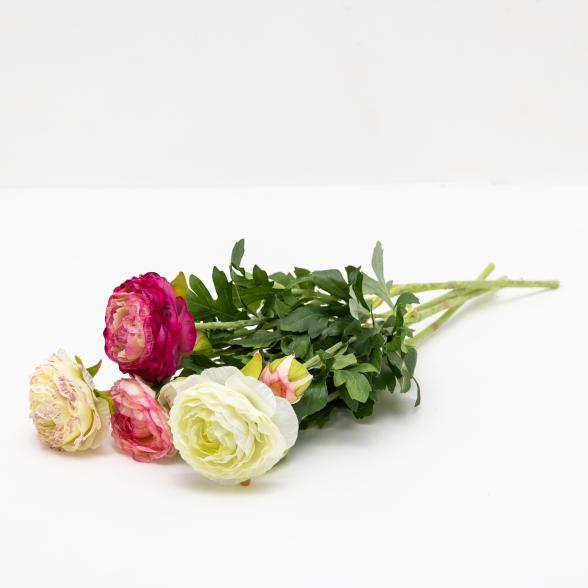 Ranunkelstrauß 5tlg. - 112625700000 - 1 - 588px