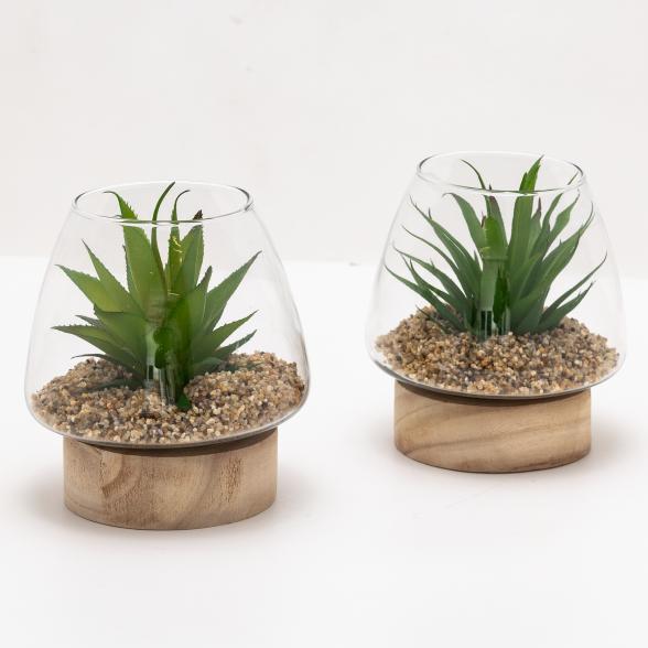 Sukkulente im Glas auf Holzfuß - 112626000000 - 1 - 588px