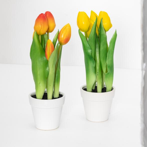 Tulpen im Keramiktopf 2er Set - 112626300000 - 1 - 588px