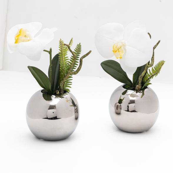 Phalenopsis im Silbertopf 2er - 112626400000 - 1 - 588px