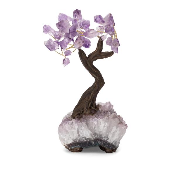 Darimana Amethyst Bäumchen - 112750000000 - 1 - 588px
