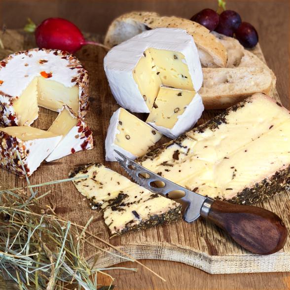 Wildes Allgäu - 112778600000 - 1 - 588px