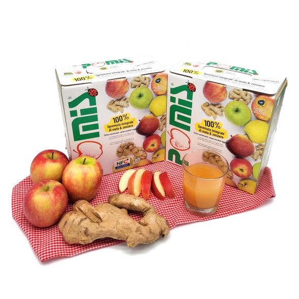 Apfel-Ingwer-Saft - 112916600000 - 1 - 588px