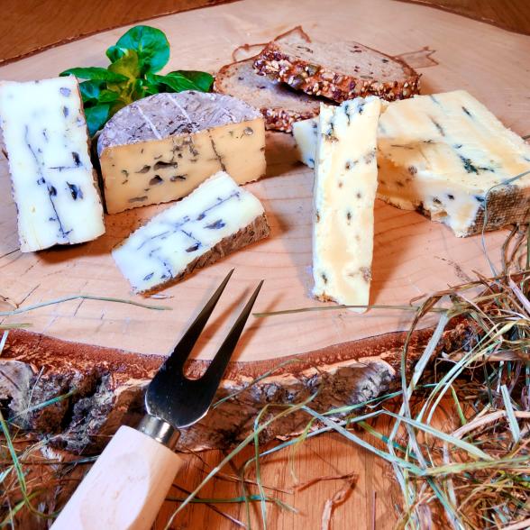 Hoimat Blaublüter - 112945800000 - 1 - 588px