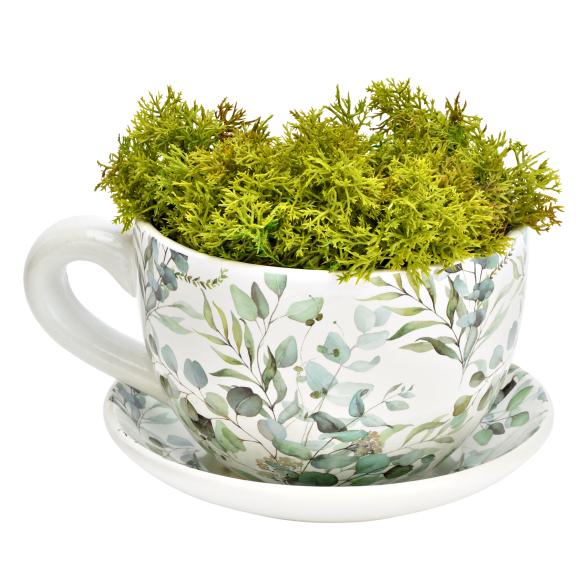 Pflanztasse Eukalyptus - 113210100000 - 1 - 588px