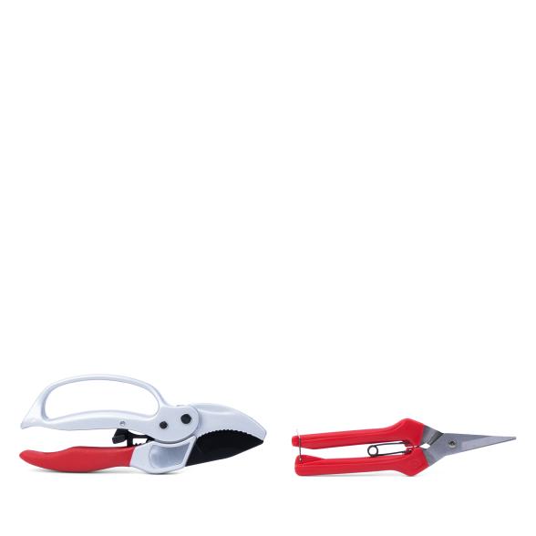 Gartenscheren 2er Set - 113388100000 - 1 - 588px