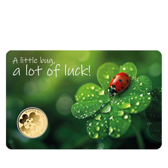 Coincard "A little Bug" 1/1000 oz. Feingold - 113430400000 - 1 - 588px