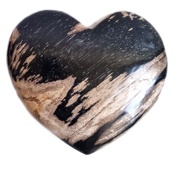 Herz fossiles Holz 10 cm - 113449700000 - 1 - 588px