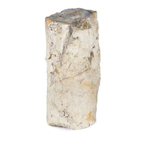 Fossiles Holz roh 4,5 - 6,5kg - 113449900000 - 1 - 588px