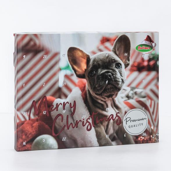 Adventskalender Hund, Premium - 113559500000 - 1 - 588px