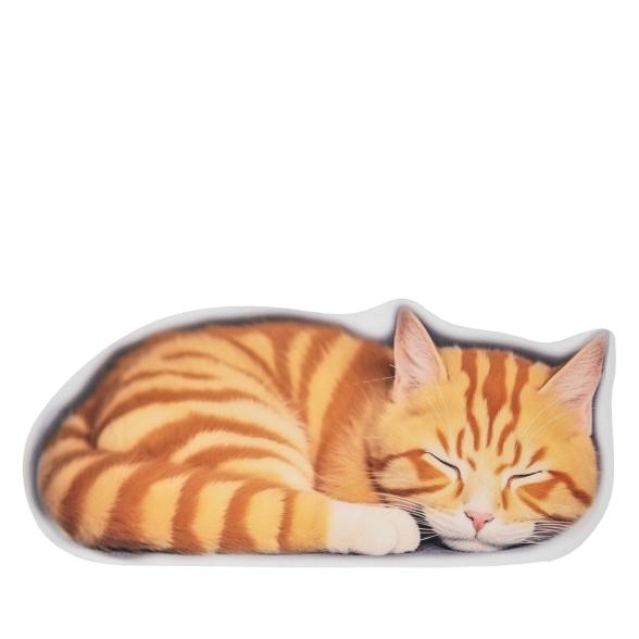 3D-Fußmatte Kater Willi - 113575700000 - 1 - 588px