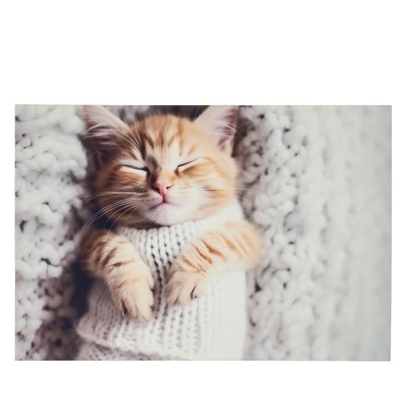 3D-Fußmatte Kuschelkatze - 113575800000 - 1 - 588px