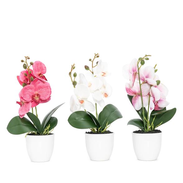 3er Set Orchideen-Arrangement 30cm - 113635900000 - 1 - 588px