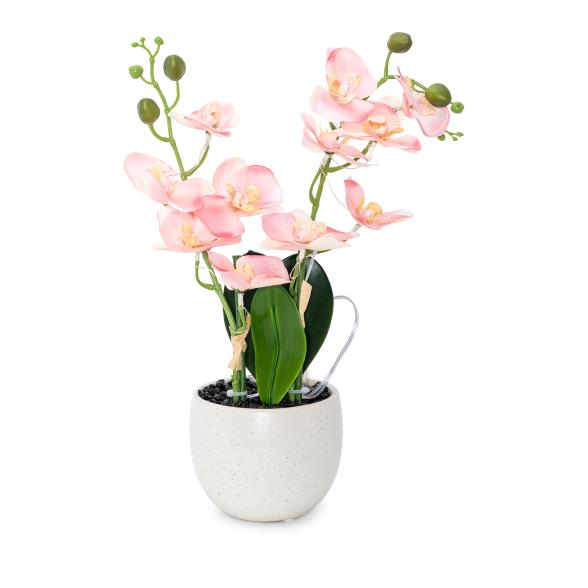 Orchidee mit LED-Beleuchtung rosa - 113701300000 - 1 - 588px