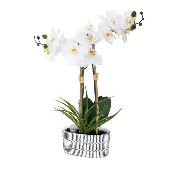Orchidee mit LED-Beleuchtung weiß - 113701400000 - 1 - 588px