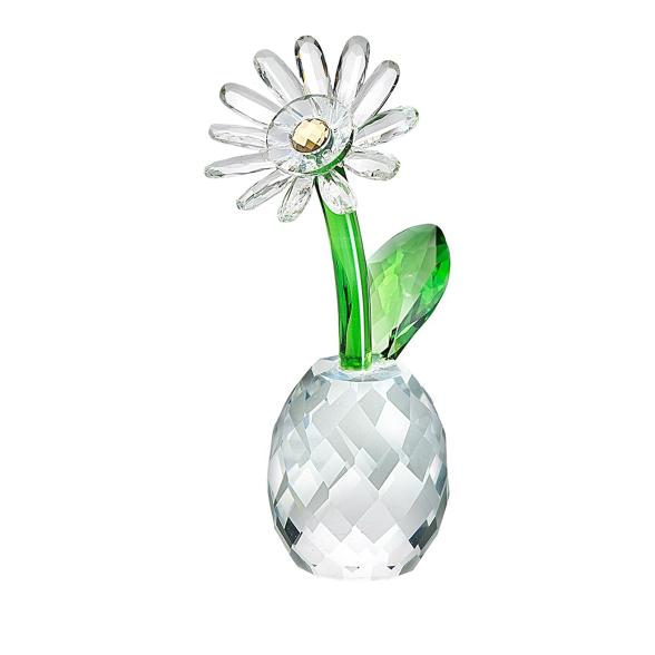 Crystal Dreams Margeriten-Set - 113749000000 - 1 - 588px