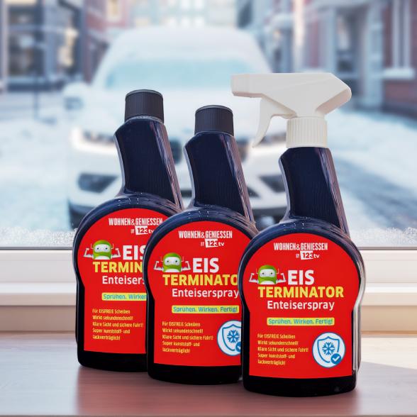 W&G Eis Terminator 3x500ml Enteiserspray + Tuch - 113749800000 - 1 - 588px