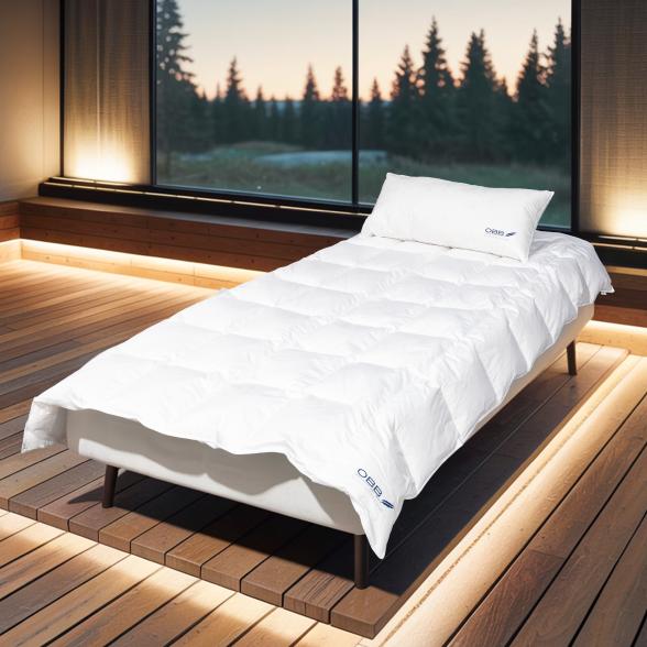 OBB Hotel Exklusiv Bettwarenset 2tlg. 80x80cm - 113853500001 - 1 - 588px