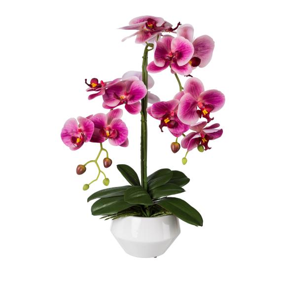 Orchidee fuchsia Real Touch - 114005900000 - 1 - 588px