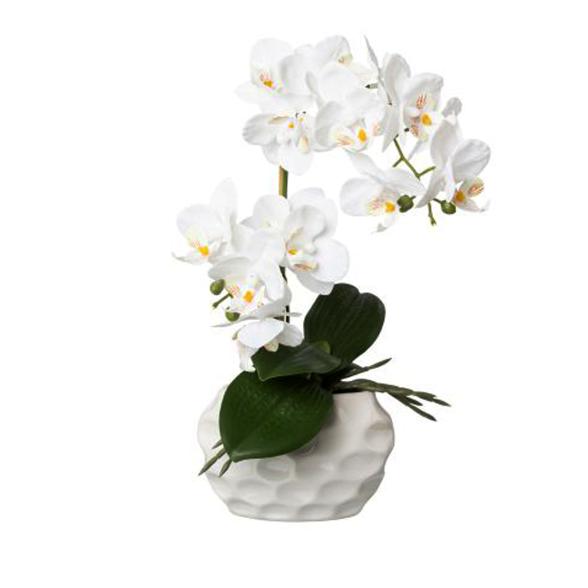 Orchidee Real Touch 33cm - 114006100000 - 1 - 588px