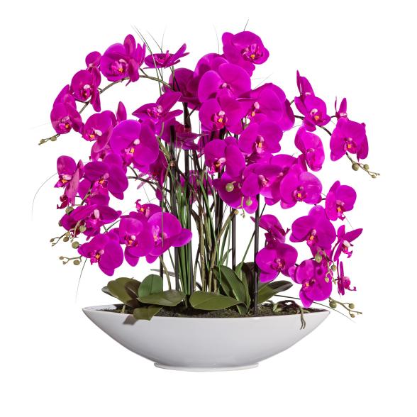 XXL-Orchidee lila 70cm - 114006300000 - 1 - 588px