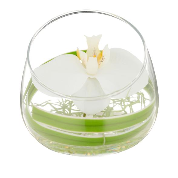 Weiße Orchidee im Glas - 114006600000 - 1 - 588px