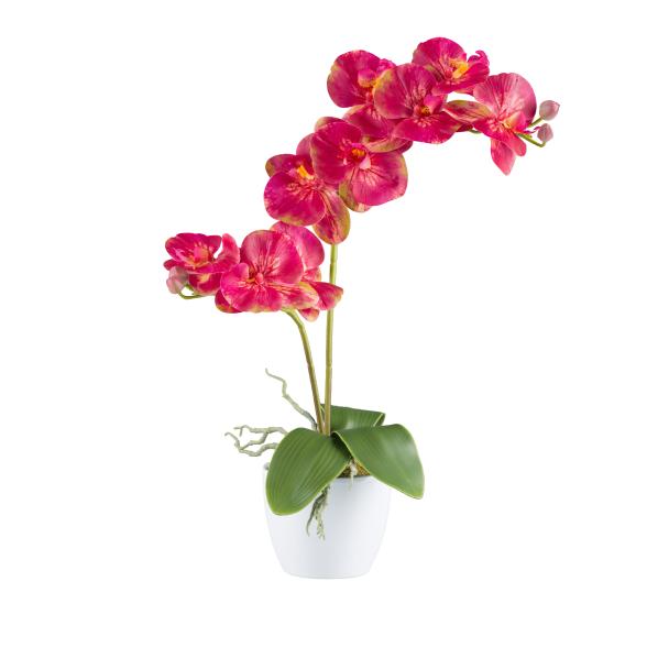 Orchidee pink im Keramiktopf 57cm - 114006900000 - 1 - 588px