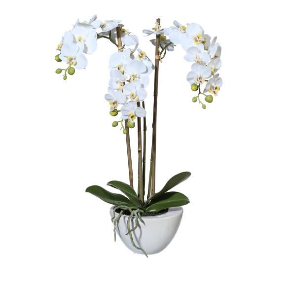 Orchidee Real Touch 51cm - 114007300000 - 1 - 588px